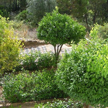 Apartamento Los Naranjos Benahavís Δωμάτιο φωτογραφία