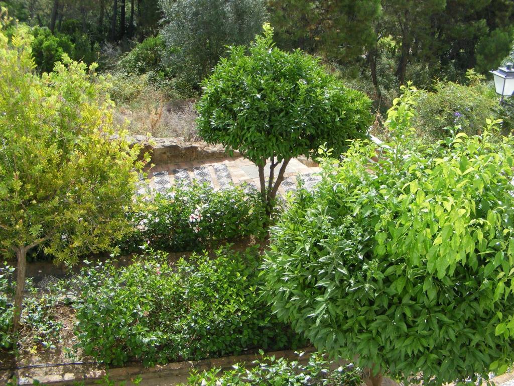 Apartamento Los Naranjos Benahavís Δωμάτιο φωτογραφία