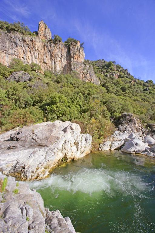 Apartamento Los Naranjos Benahavís Δωμάτιο φωτογραφία